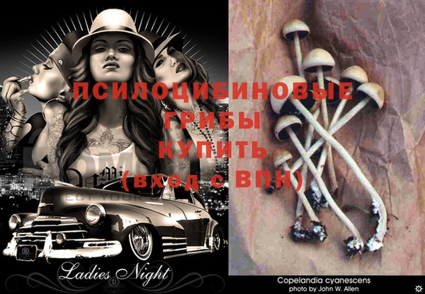 mdma Переславль-Залесский