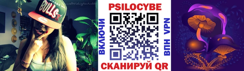 Купить  Златоуст  Псилоцибиновые грибы Psilocybe 